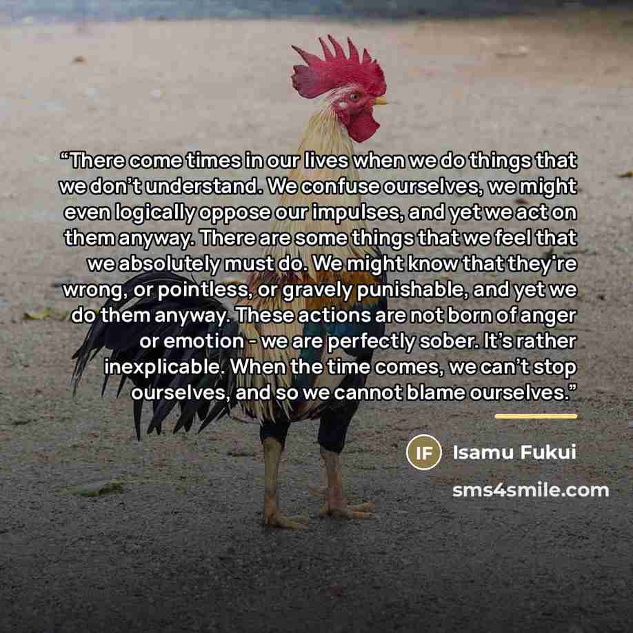 “There come times in our lives when we do things that we don't understand. We confuse ourselves, we might even logically oppose our impulses, and yet we act on them anyway. There are some things that we feel that we absolutely must do. We might know that they're wrong, or pointless, or gravely…” quote by Isamu Fukui