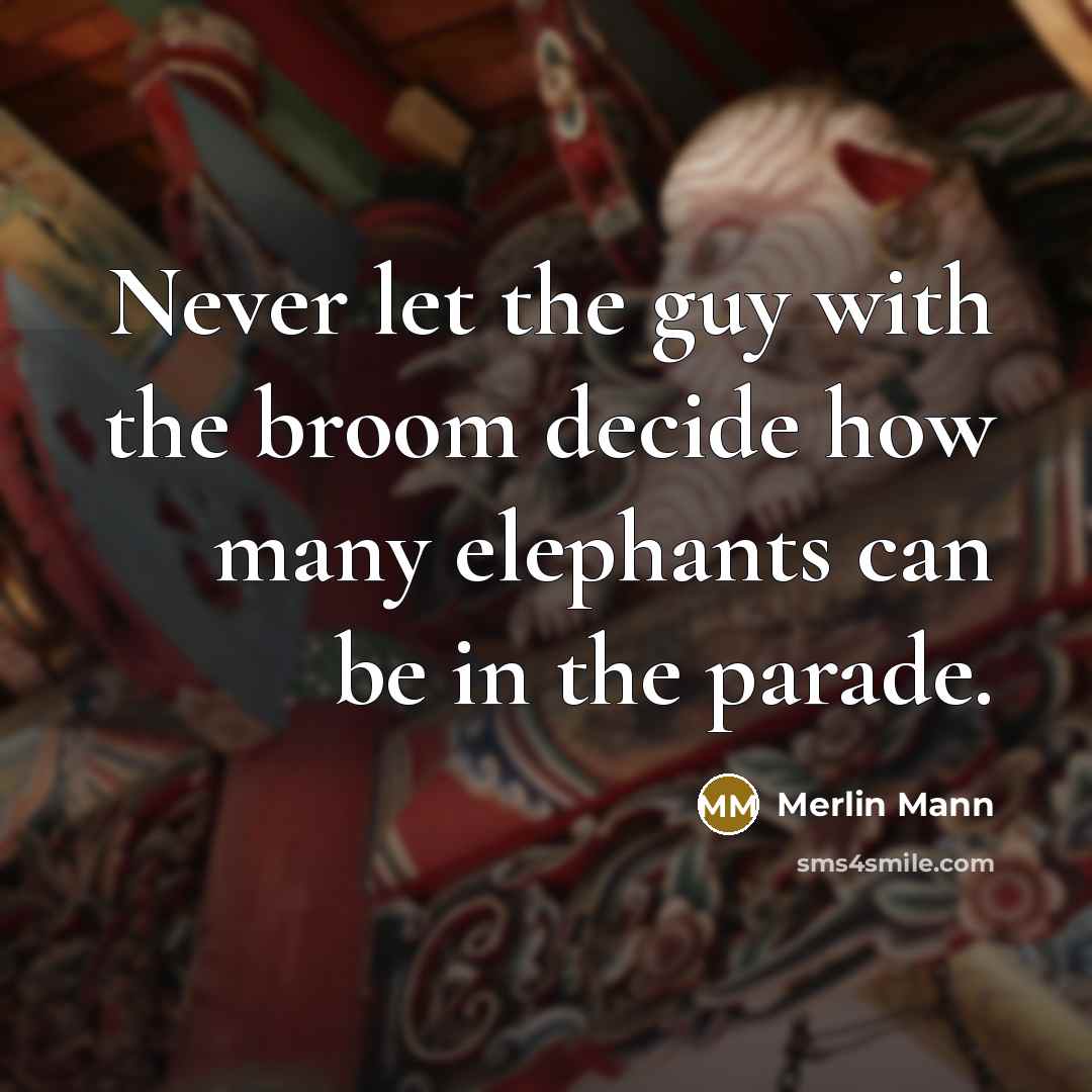 “Never let the guy with the broom decide how many elephants can be in the parade.” quote by Merlin Mann