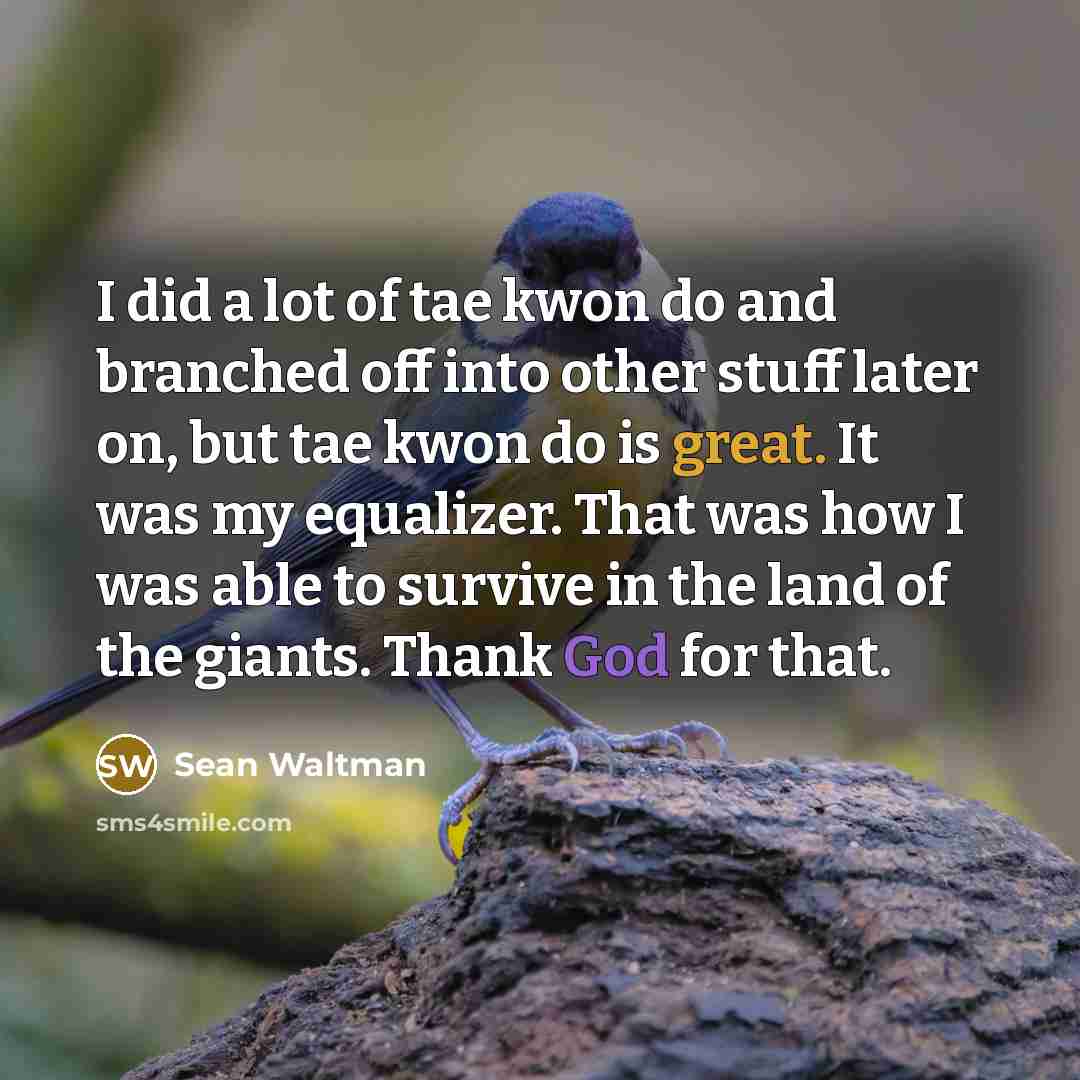 “I did a lot of tae kwon do and branched off into other stuff later on, but tae kwon do is great. It was my equalizer. That was how I was able to survive in the land of the giants. Thank God for that.” quote by Sean Waltman
