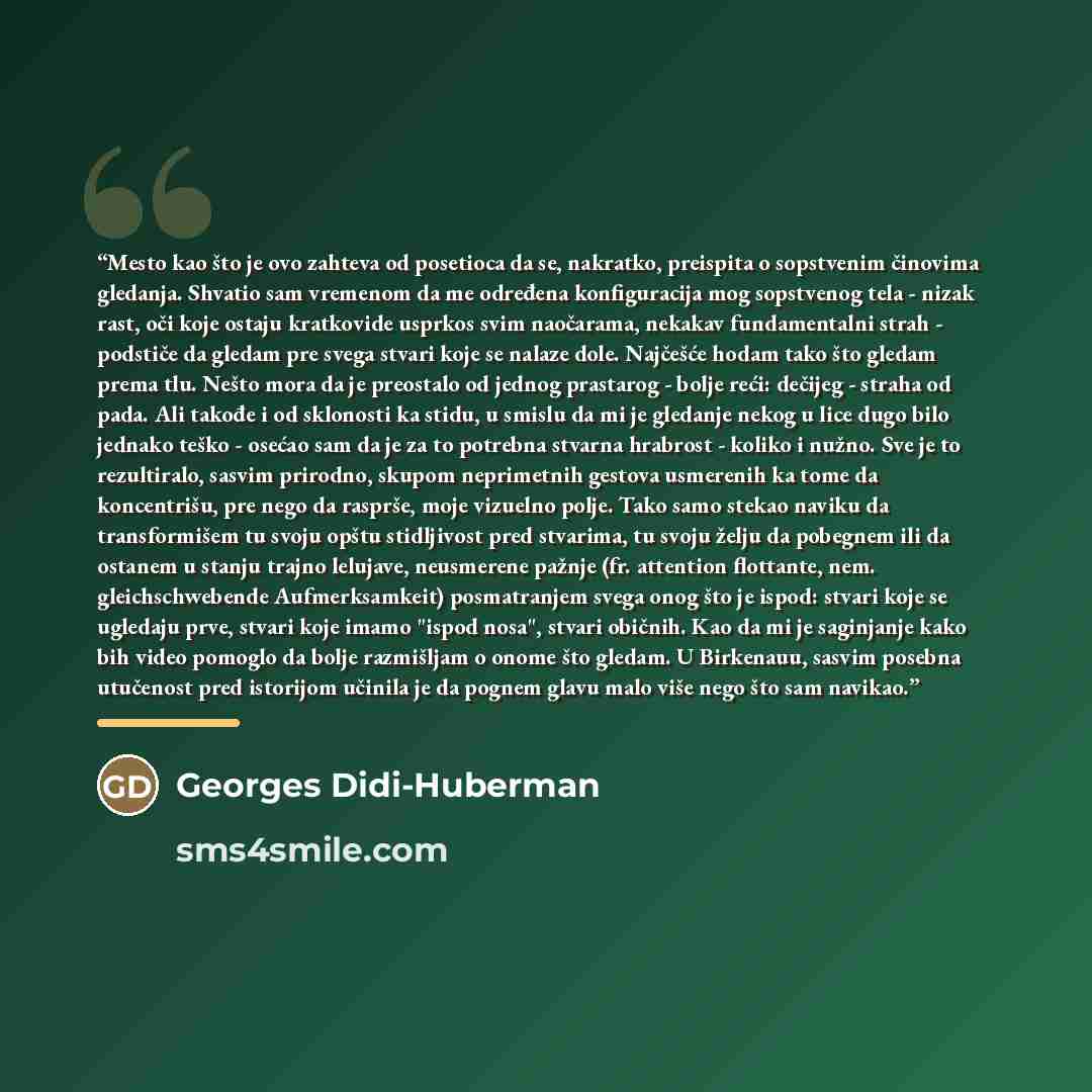 “Mesto kao što je ovo zahteva od posetioca da se, nakratko, preispita o sopstvenim činovima gledanja. Shvatio sam vremenom da me određena konfiguracija mog sopstvenog tela - nizak rast, oči koje ostaju kratkovide usprkos svim naočarama, nekakav fundamentalni strah - podstiče da gledam pre svega…” quote by Georges Didi-Huberman