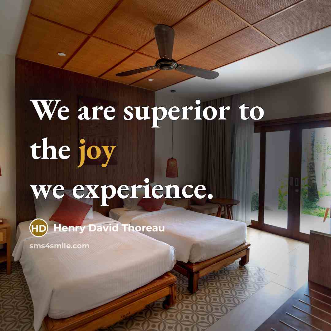 “We are superior to the joy we experience.” quote by Henry David Thoreau