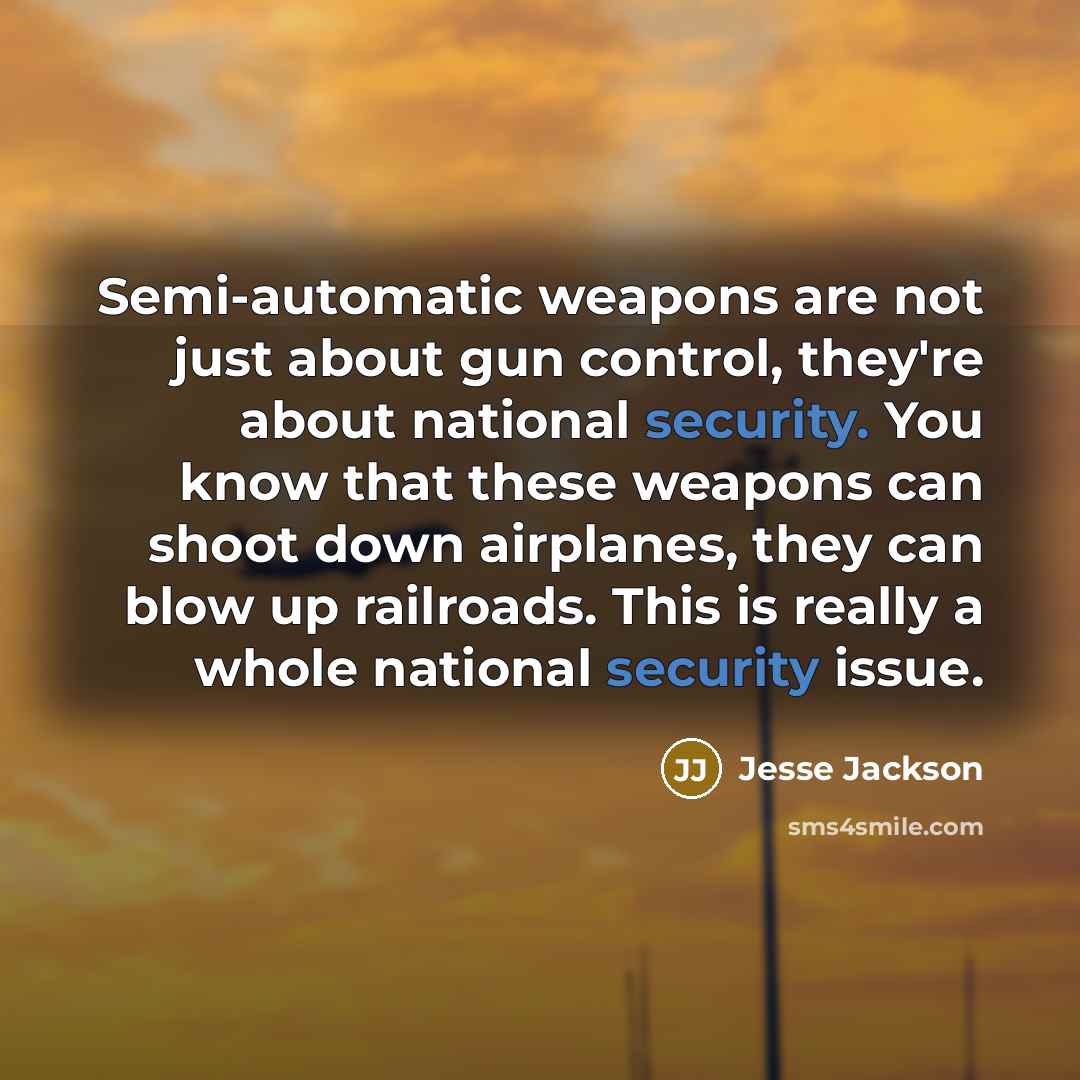 “Semi-automatic weapons are not just about gun control, they're about national security. You know that these weapons can shoot down airplanes, they can blow up railroads. This is really a whole national security issue.” quote by Jesse Jackson