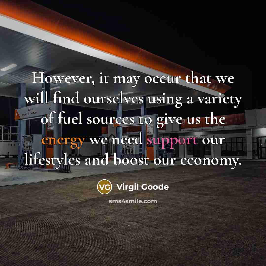 “However, it may occur that we will find ourselves using a variety of fuel sources to give us the energy we need support our lifestyles and boost our economy.” quote by Virgil Goode
