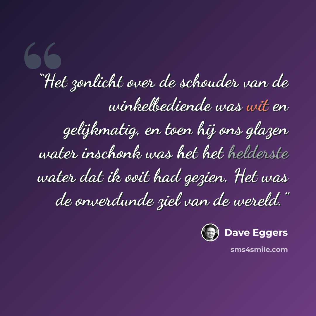 “Het zonlicht over de schouder van de winkelbediende was wit en gelijkmatig, en toen hij ons glazen water inschonk was het het helderste water dat ik ooit had gezien. Het was de onverdunde ziel van de wereld.” quote by Dave Eggers