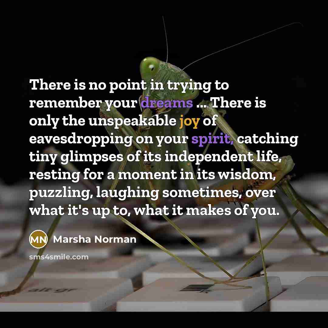 “There is no point in trying to remember your dreams ... There is only the unspeakable joy of eavesdropping on your spirit, catching tiny glimpses of its independent life, resting for a moment in its wisdom, puzzling, laughing sometimes, over what it's up to, what it makes of you.” quote by Marsha Norman