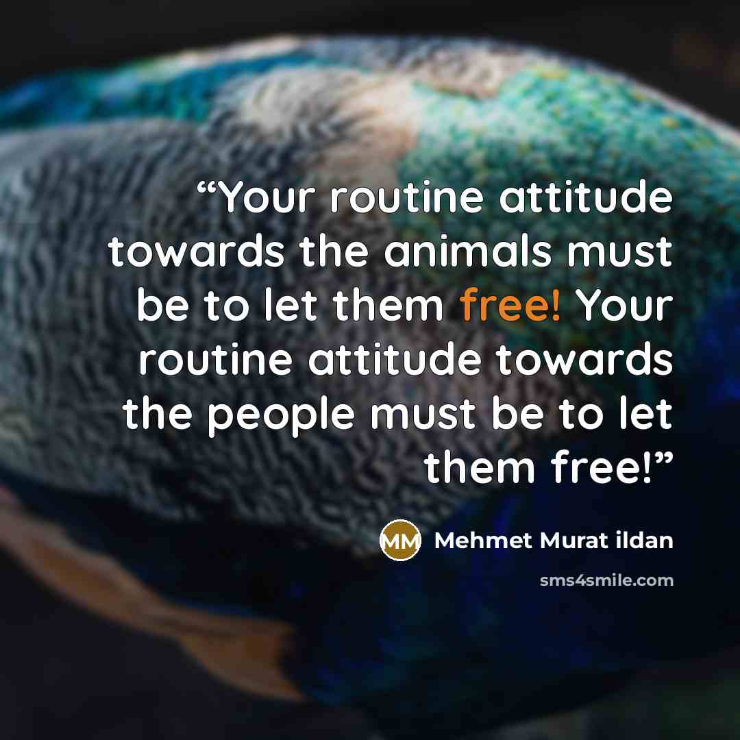 “Your routine attitude towards the animals must be to let them free! Your routine attitude towards the people must be to let them free!” quote by Mehmet Murat ildan
