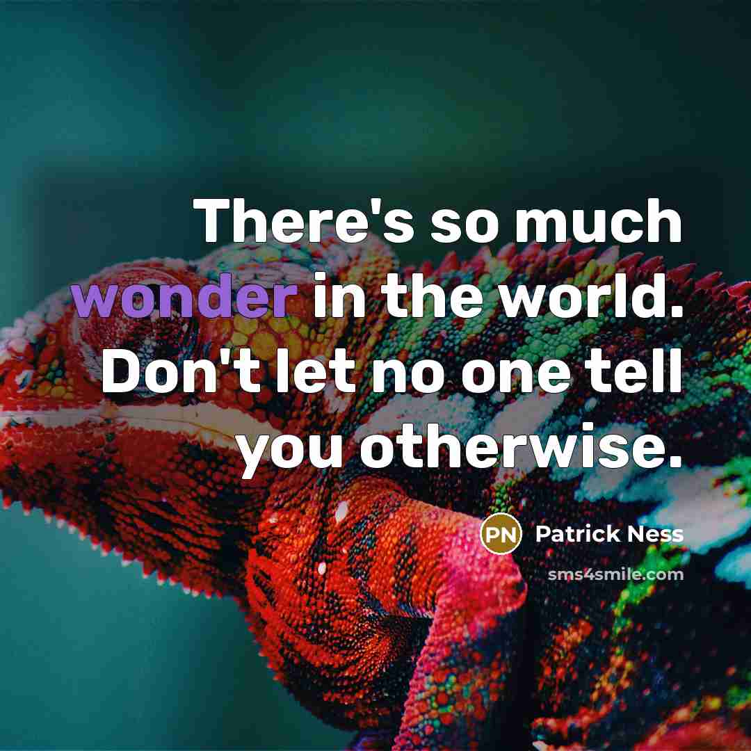 “There's so much wonder in the world. Don't let no one tell you otherwise.” quote by Patrick Ness