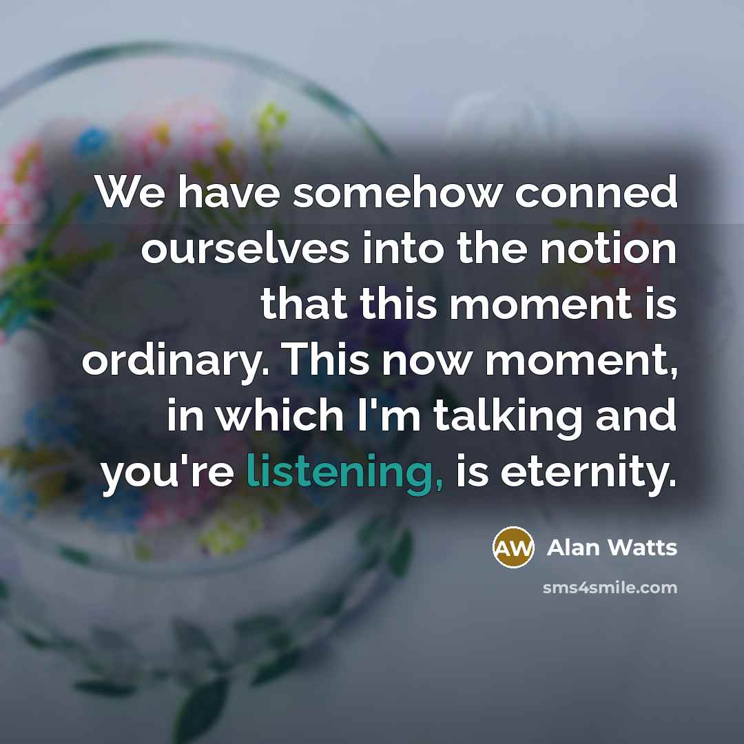 “We have somehow conned ourselves into the notion that this moment is ordinary. This now moment, in which I'm talking and you're listening, is eternity.” quote by Alan Watts
