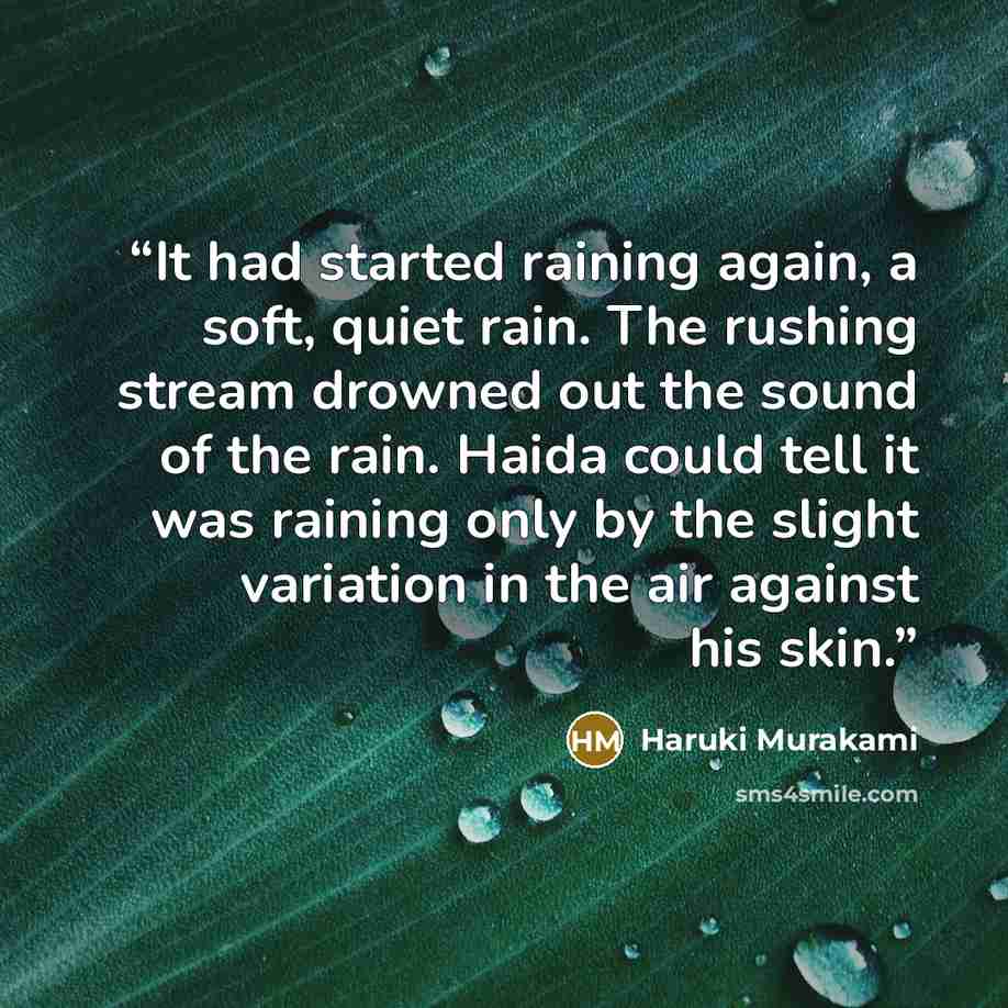 “It had started raining again, a soft, quiet rain. The rushing stream drowned out the sound of the rain. Haida could tell it was raining only by the slight variation in the air against his skin.” quote by Haruki Murakami