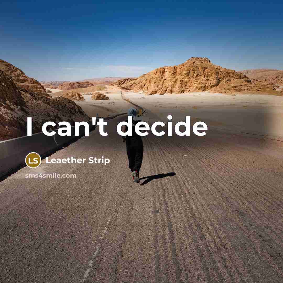 “I can't decide” quote by Leaether Strip