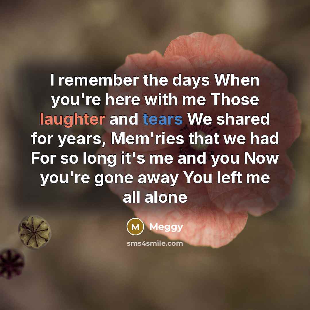 “I remember the days When you're here with me Those laughter and tears We shared for years, Mem'ries that we had For so long it's me and you Now you're gone away You left me all alone” quote by Meggy