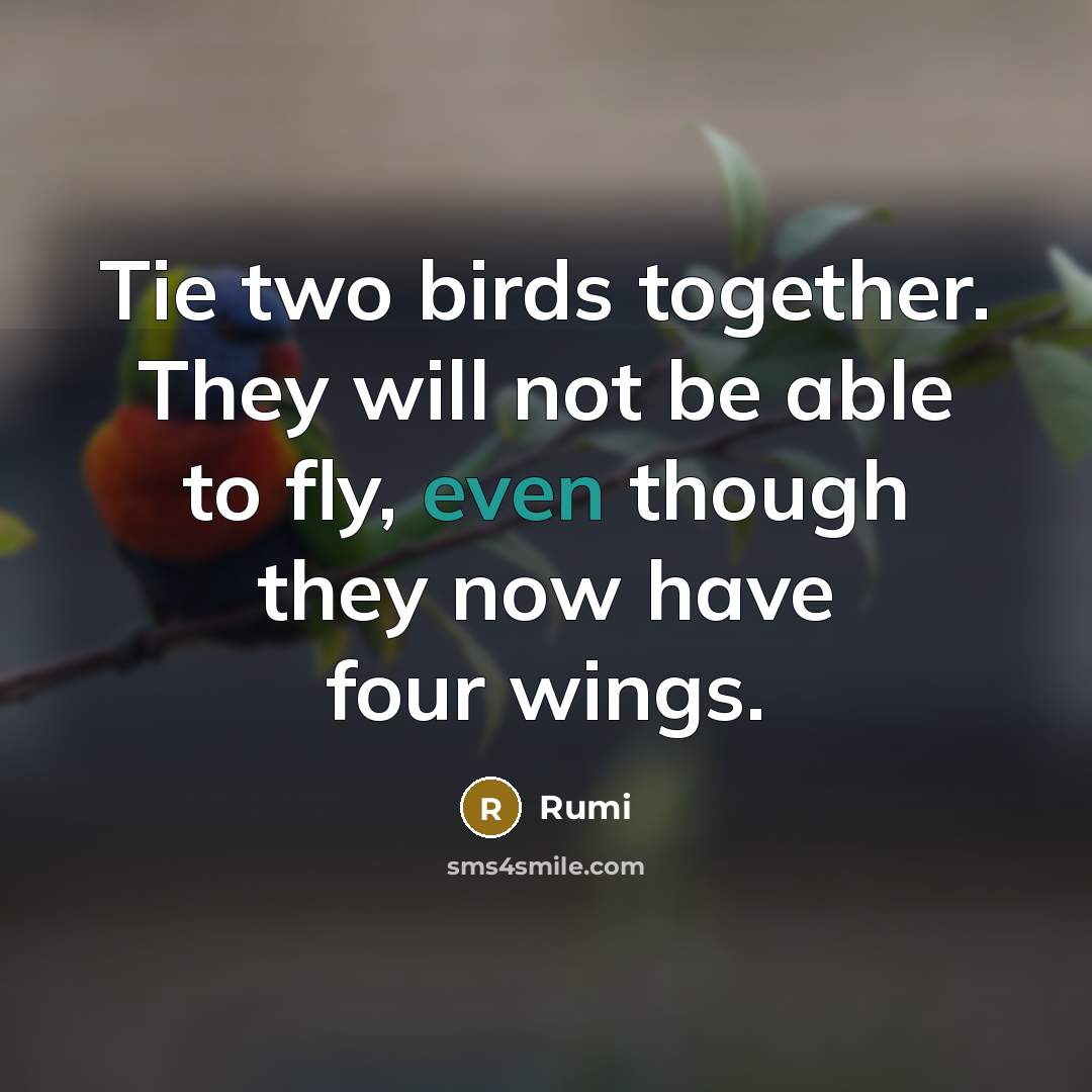 “Tie two birds together. They will not be able to fly, even though they now have four wings.” quote by Rumi
