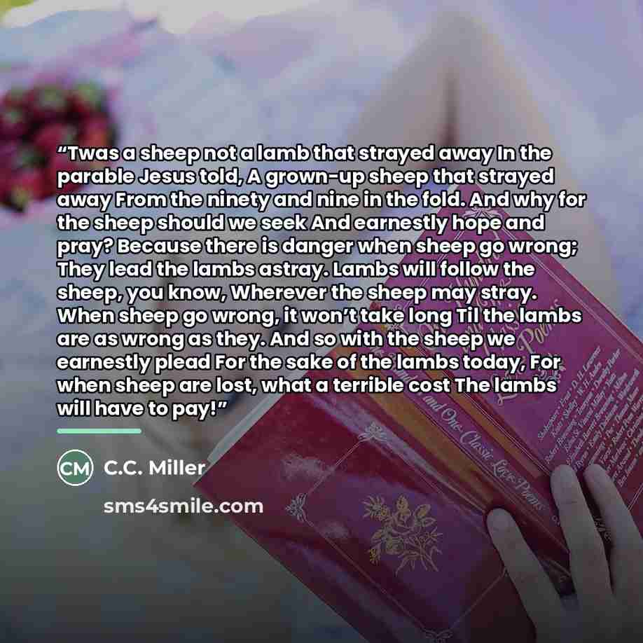 “Twas a sheep not a lamb that strayed away In the parable Jesus told, A grown-up sheep that strayed away From the ninety and nine in the fold. And why for the sheep should we seek And earnestly hope and pray? Because there is danger when sheep go wrong; They lead the lambs astray. Lambs will follow…” quote by C.C. Miller