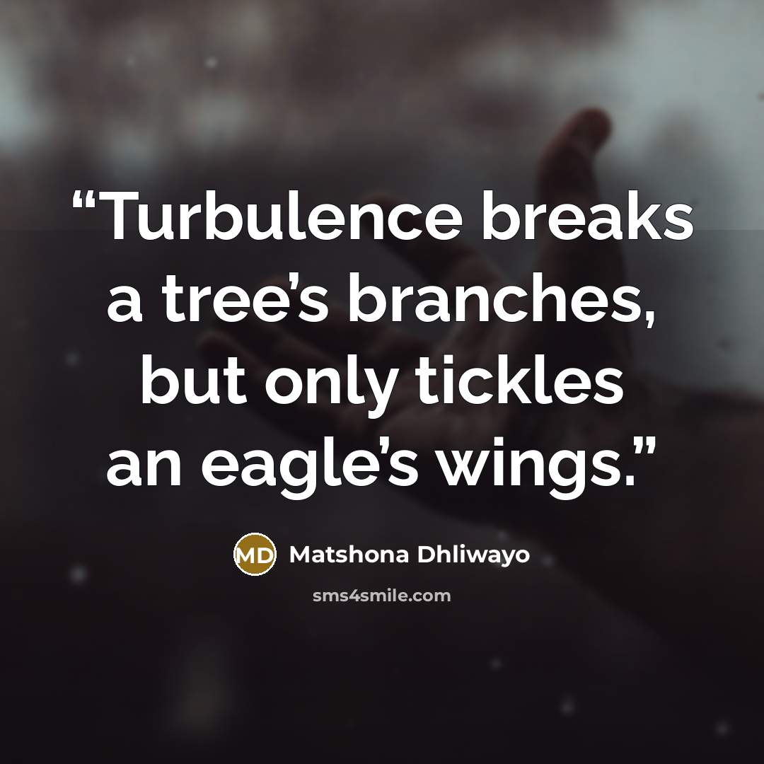 “Turbulence breaks a tree’s branches, but only tickles an eagle’s wings.” quote by Matshona Dhliwayo