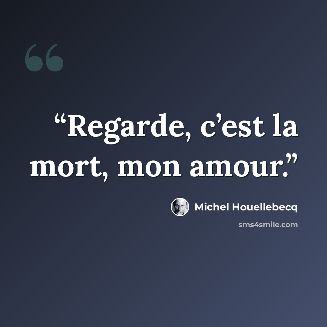 “Regarde, c’est la mort, mon amour.” quote by Michel Houellebecq