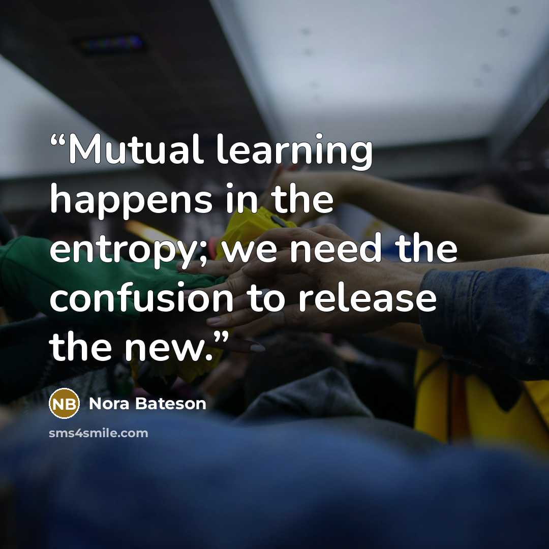 “Mutual learning happens in the entropy; we need the confusion to release the new.” quote by Nora Bateson