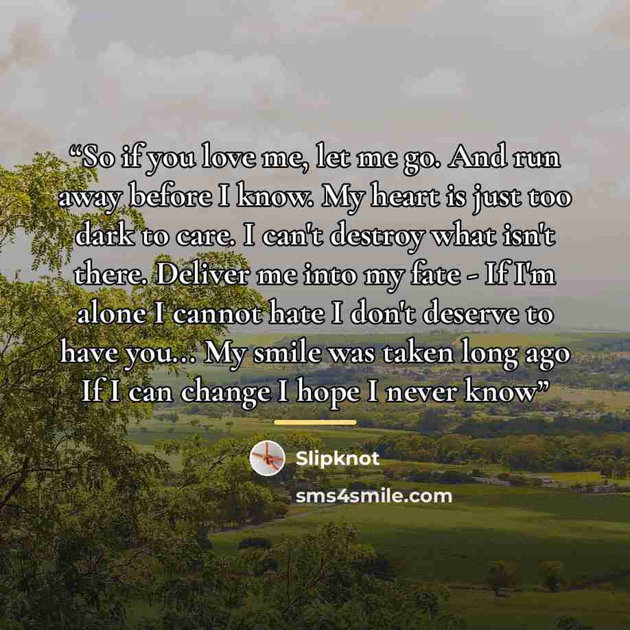 “So if you love me, let me go. And run away before I know. My heart is just too dark to care. I can't destroy what isn't there. Deliver me into my fate - If I'm alone I cannot hate I don't deserve to have you... My smile was taken long ago If I can change I hope I never know” quote by Slipknot