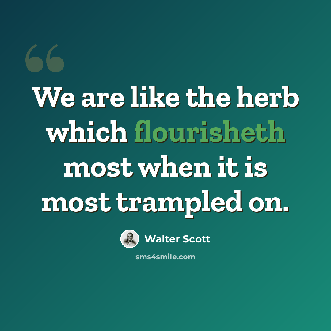 “We are like the herb which flourisheth most when it is most trampled on.” quote by Walter Scott