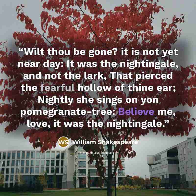 “Wilt thou be gone? it is not yet near day: It was the nightingale, and not the lark, That pierced the fearful hollow of thine ear; Nightly she sings on yon pomegranate-tree: Believe me, love, it was the nightingale.” quote by William Shakespeare