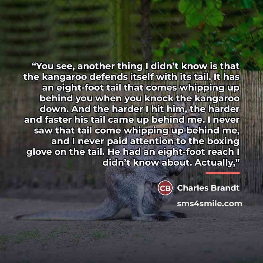 “You see, another thing I didn’t know is that the kangaroo defends itself with its tail. It has an eight-foot tail that comes whipping up behind you when you knock the kangaroo down. And the harder I hit him, the harder and faster his tail came up behind me. I never saw that tail come whipping up…” quote by Charles Brandt