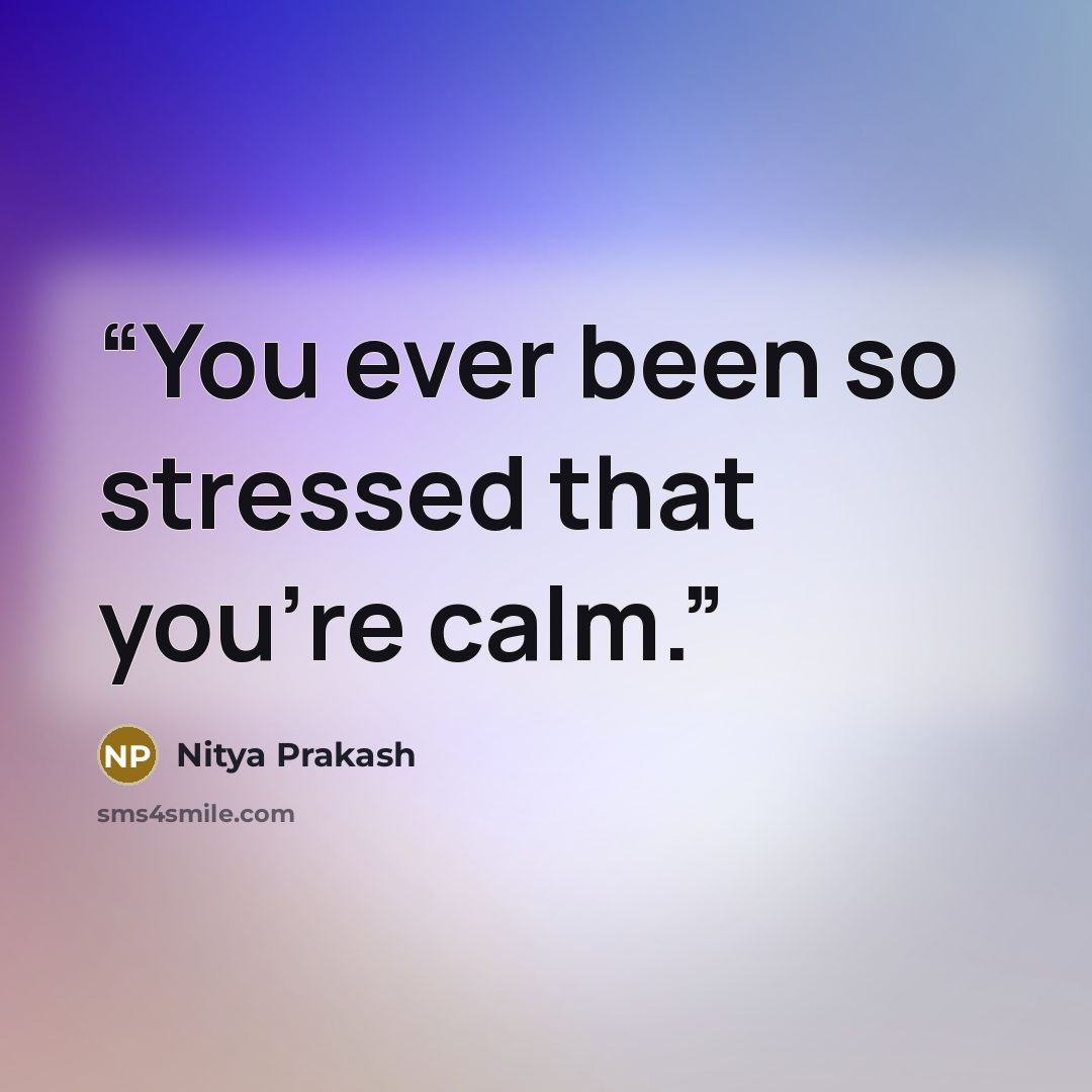“You ever been so stressed that you're calm.” quote by Nitya Prakash