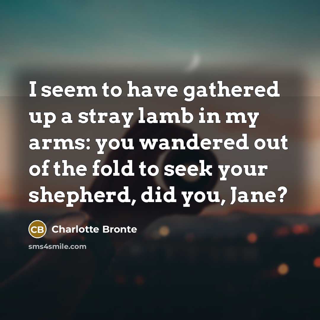 “I seem to have gathered up a stray lamb in my arms: you wandered out of the fold to seek your shepherd, did you, Jane?” quote by Charlotte Bronte