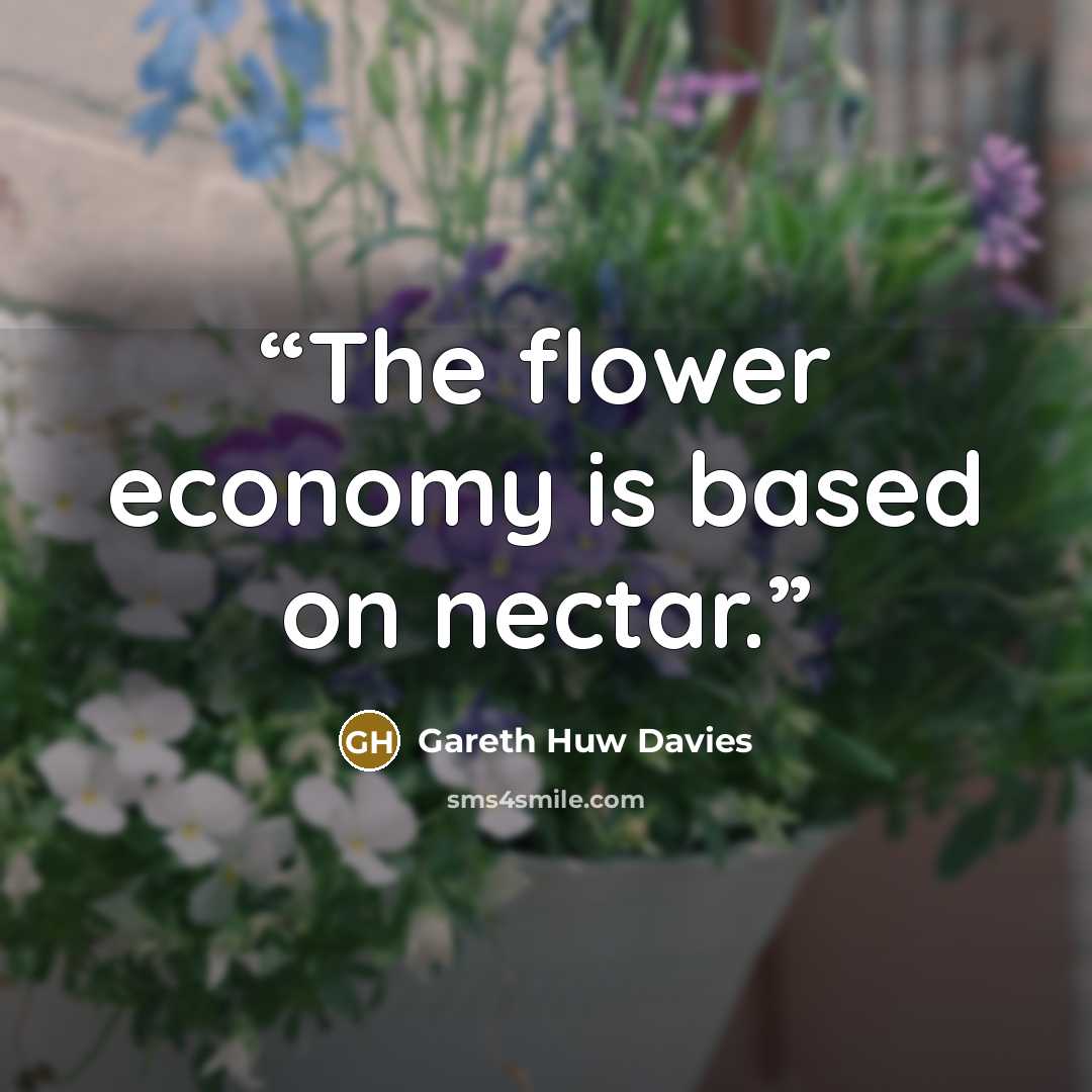 “The flower economy is based on nectar.” quote by Gareth Huw Davies