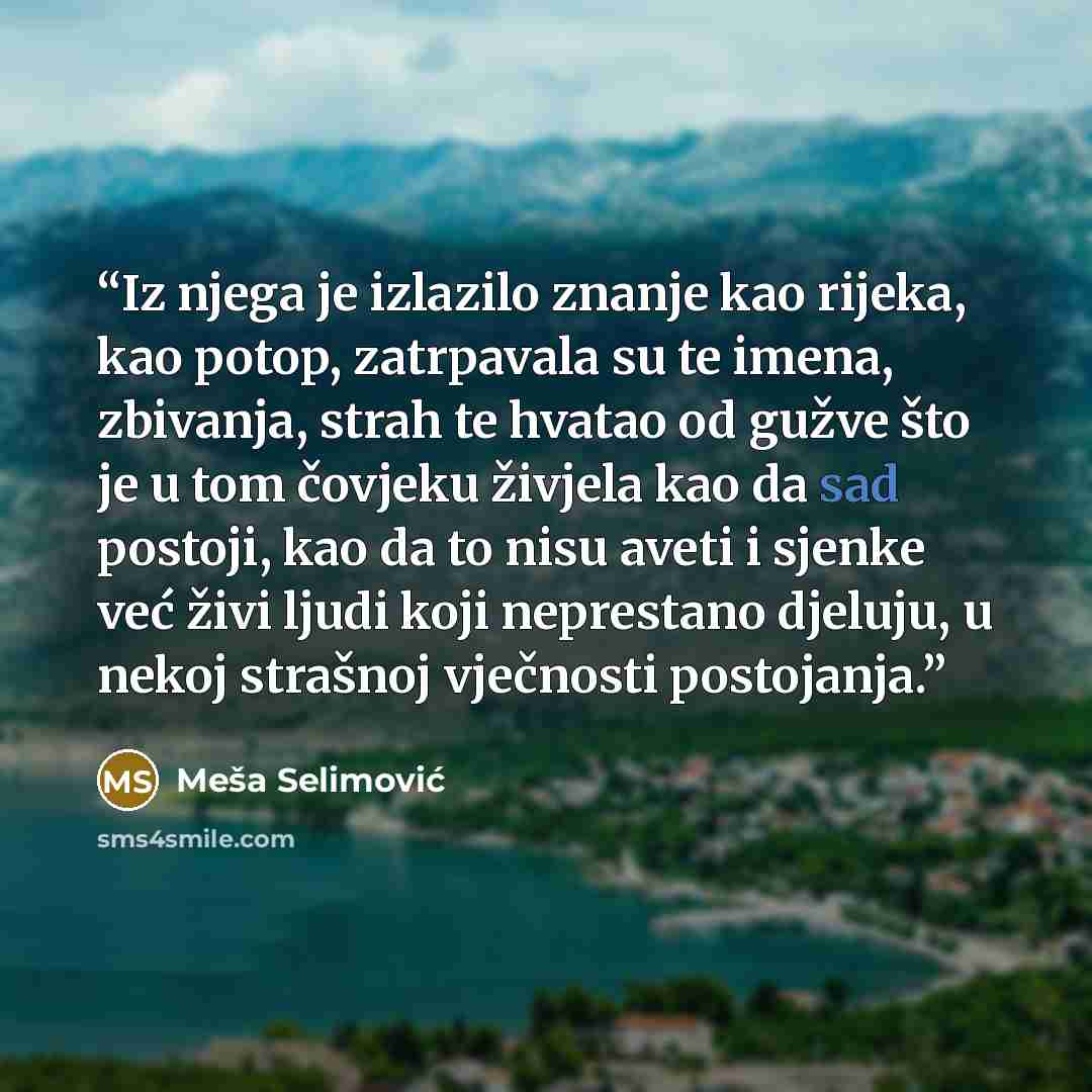 “Iz njega je izlazilo znanje kao rijeka, kao potop, zatrpavala su te imena, zbivanja, strah te hvatao od gužve što je u tom čovjeku živjela kao da sad postoji, kao da to nisu aveti i sjenke već živi ljudi koji neprestano djeluju, u nekoj strašnoj vječnosti postojanja.” quote by Meša Selimović