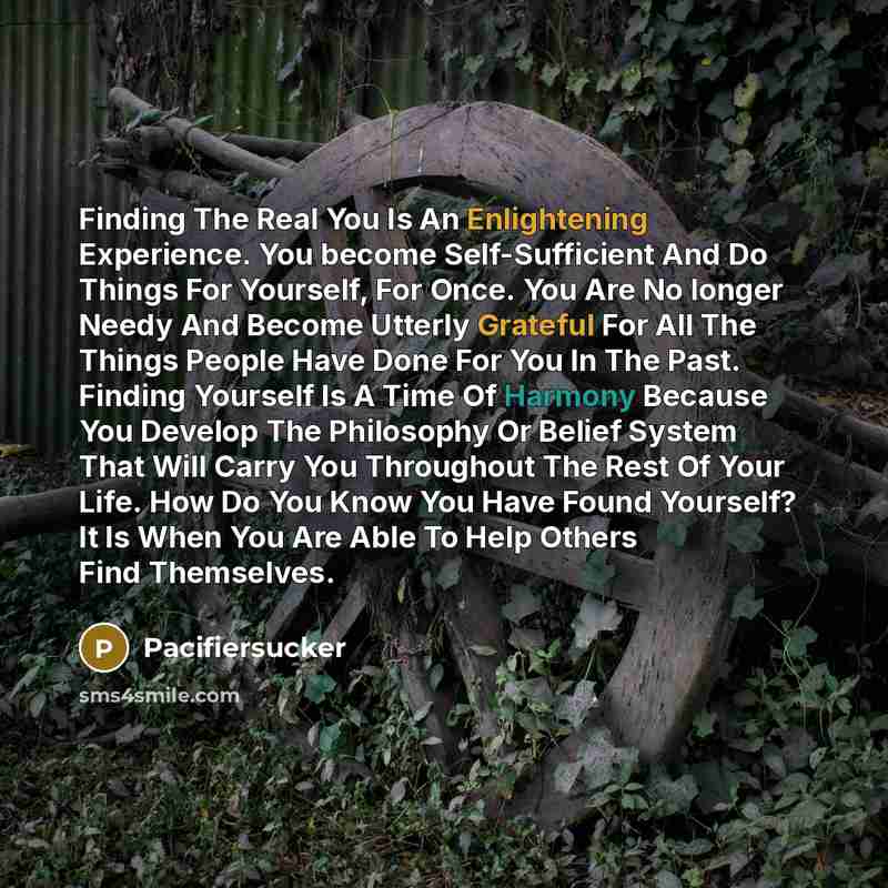 “Finding The Real You Is An Enlightening Experience. You become Self-Sufficient And Do Things For Yourself, For Once. You Are No longer Needy And Become Utterly Grateful For All The Things People Have Done For You In The Past. Finding Yourself Is A Time Of Harmony Because You Develop The Philosophy…” quote by Pacifiersucker