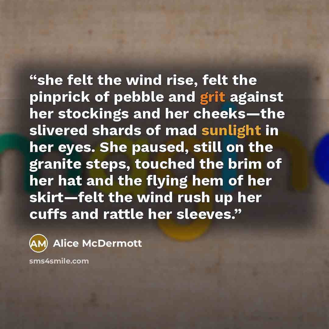 “she felt the wind rise, felt the pinprick of pebble and grit against her stockings and her cheeks—the slivered shards of mad sunlight in her eyes. She paused, still on the granite steps, touched the brim of her hat and the flying hem of her skirt—felt the wind rush up her cuffs and rattle her…” quote by Alice McDermott