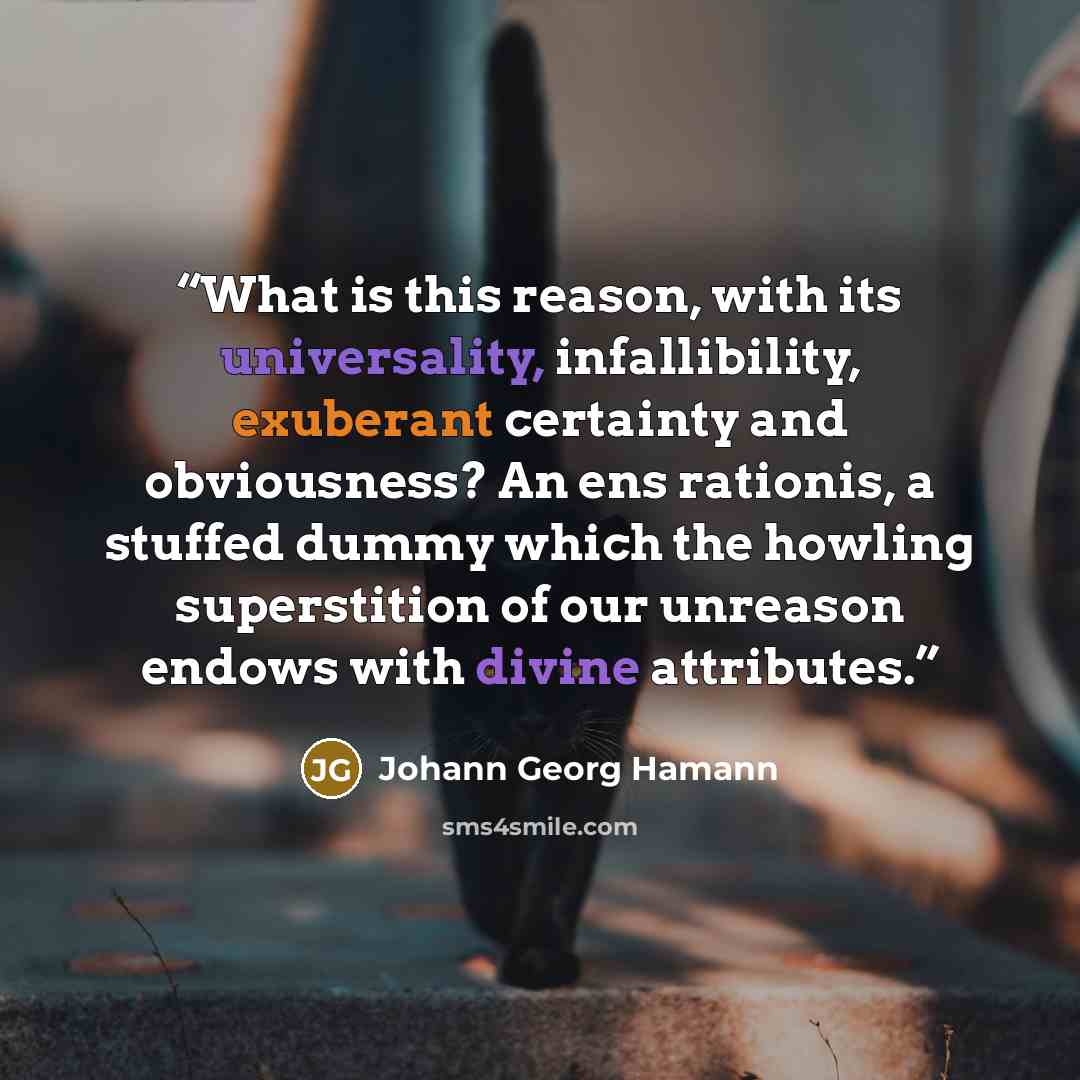 “What is this reason, with its universality, infallibility, exuberant certainty and obviousness? An ens rationis, a stuffed dummy which the howling superstition of our unreason endows with divine attributes.” quote by Johann Georg Hamann