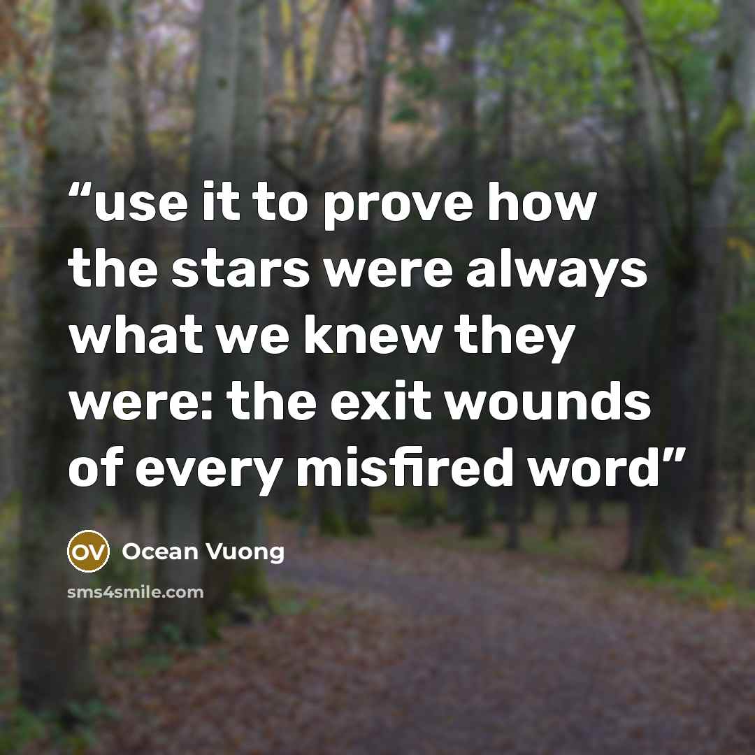 “use it to prove how the stars were always what we knew they were: the exit wounds of every misfired word” quote by Ocean Vuong