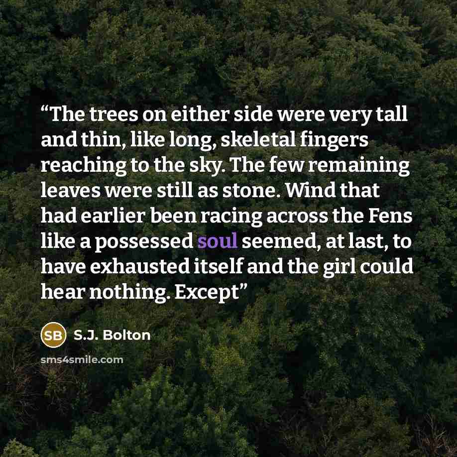 “The trees on either side were very tall and thin, like long, skeletal fingers reaching to the sky. The few remaining leaves were still as stone. Wind that had earlier been racing across the Fens like a possessed soul seemed, at last, to have exhausted itself and the girl could hear nothing. Except” quote by S.J. Bolton