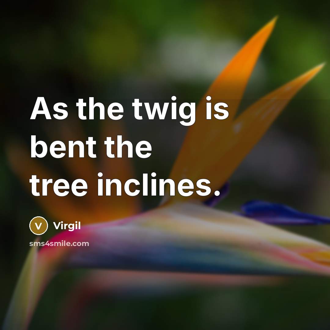 “As the twig is bent the tree inclines.” quote by Virgil