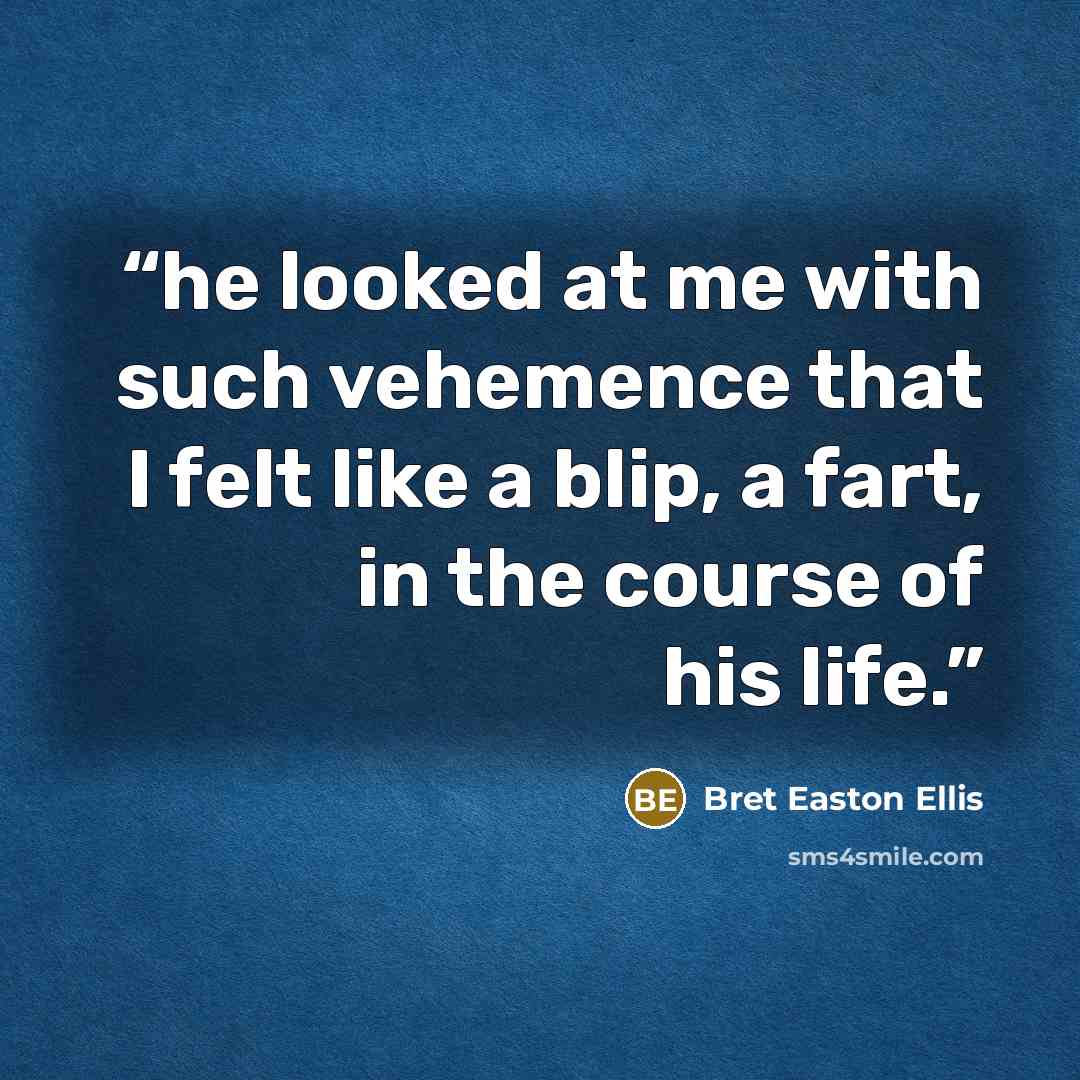 “he looked at me with such vehemence that I felt like a blip, a fart, in the course of his life.” quote by Bret Easton Ellis