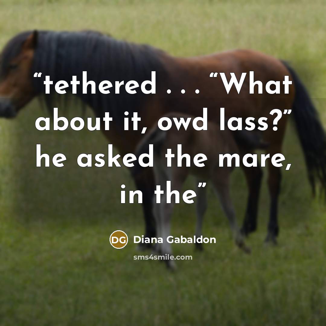 “tethered . . . “What about it, owd lass?” he asked the mare, in the” quote by Diana Gabaldon