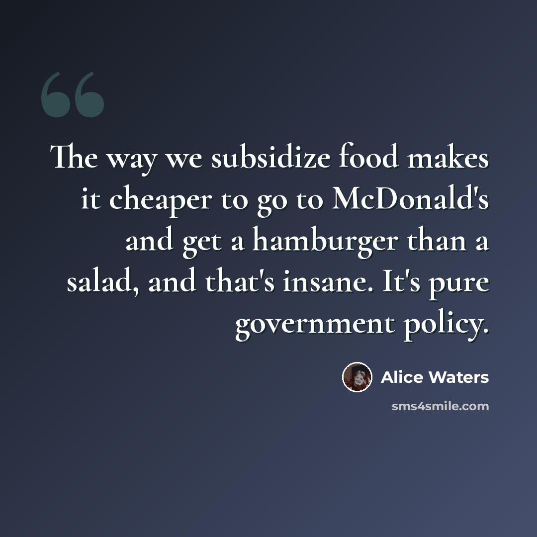 “The way we subsidize food makes it cheaper to go to McDonald's and get a hamburger than a salad, and that's insane. It's pure government policy.” quote by Alice Waters