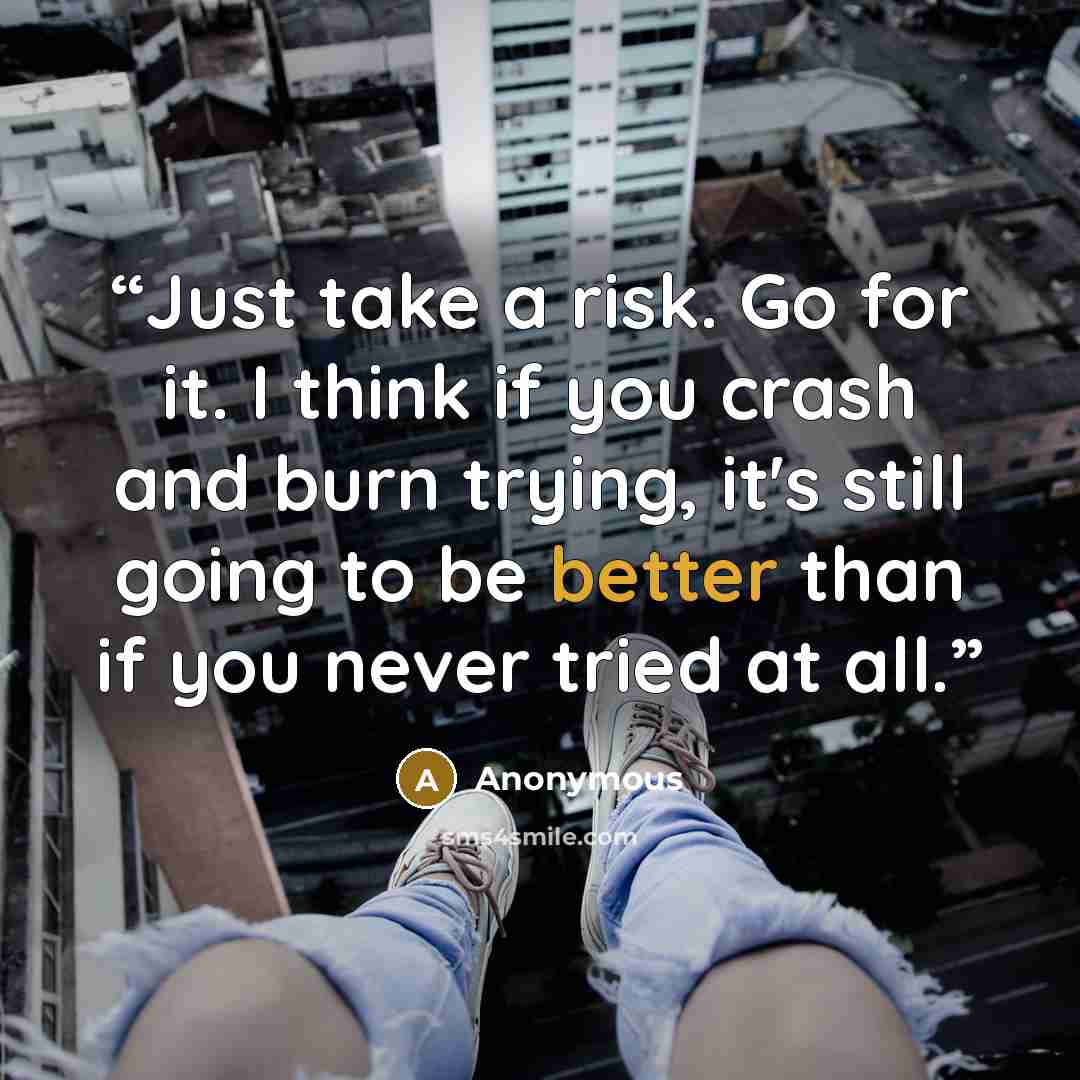 “Just take a risk. Go for it. I think if you crash and burn trying, it's still going to be better than if you never tried at all.” quote by Anonymous