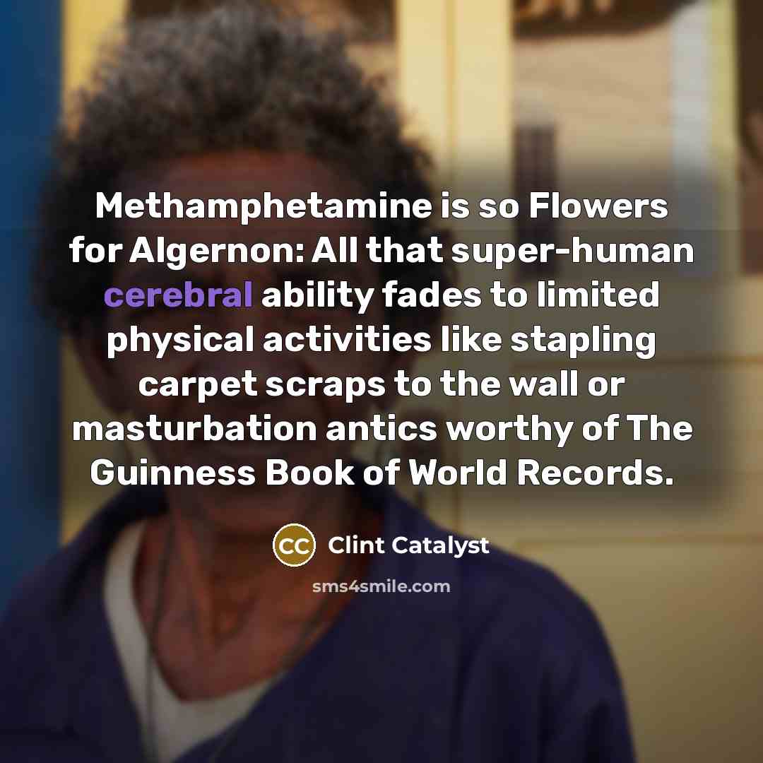 “Methamphetamine is so Flowers for Algernon: All that super-human cerebral ability fades to limited physical activities like stapling carpet scraps to the wall or masturbation antics worthy of The Guinness Book of World Records.” quote by Clint Catalyst