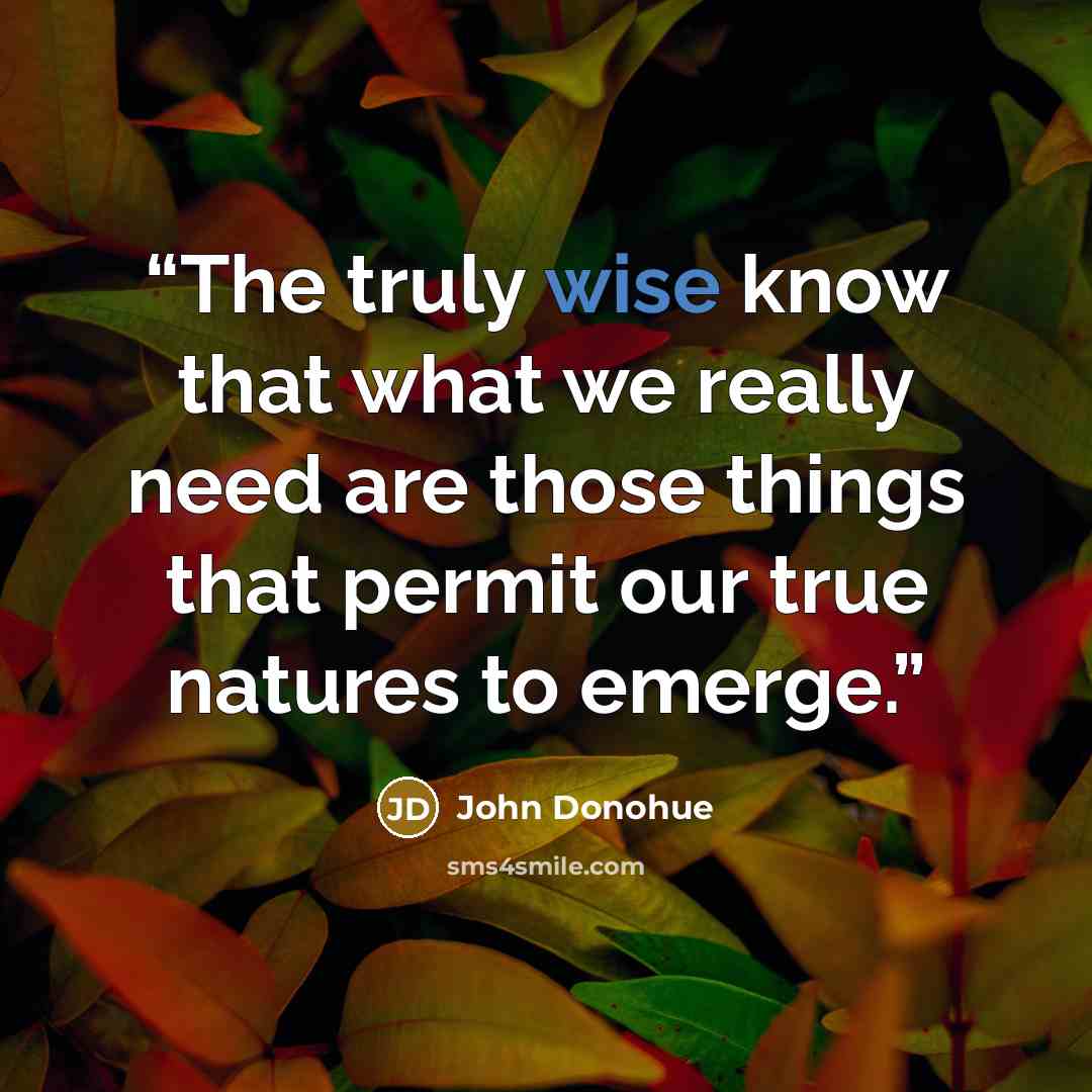 “The truly wise know that what we really need are those things that permit our true natures to emerge.” quote by John Donohue