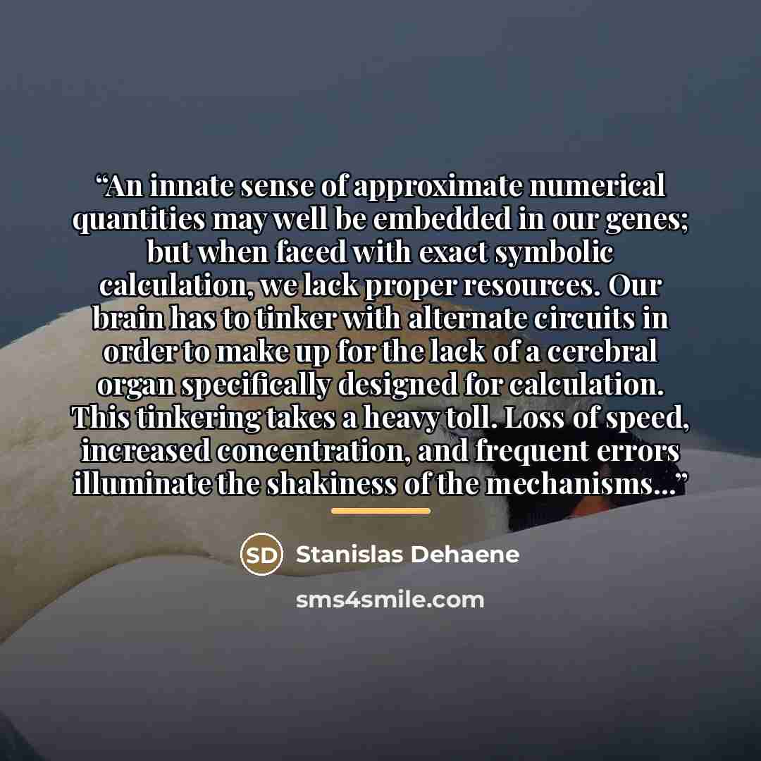 “An innate sense of approximate numerical quantities may well be embedded in our genes; but when faced with exact symbolic calculation, we lack proper resources. Our brain has to tinker with alternate circuits in order to make up for the lack of a cerebral organ specifically designed for…” quote by Stanislas Dehaene