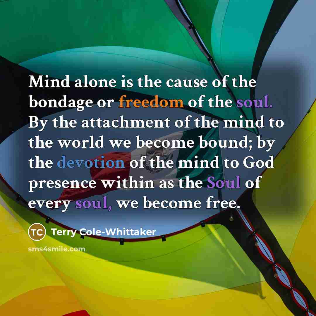 “Mind alone is the cause of the bondage or freedom of the soul. By the attachment of the mind to the world we become bound; by the devotion of the mind to God presence within as the Soul of every soul, we become free.” quote by Terry Cole-Whittaker