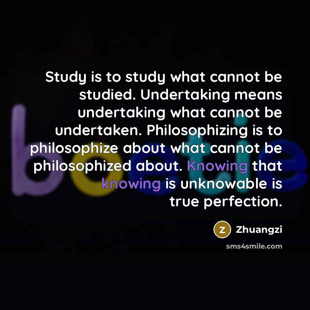 “Study is to study what cannot be studied. Undertaking means undertaking what cannot be undertaken. Philosophizing is to philosophize about what cannot be philosophized about. Knowing that knowing is unknowable is true perfection.” quote by Zhuangzi