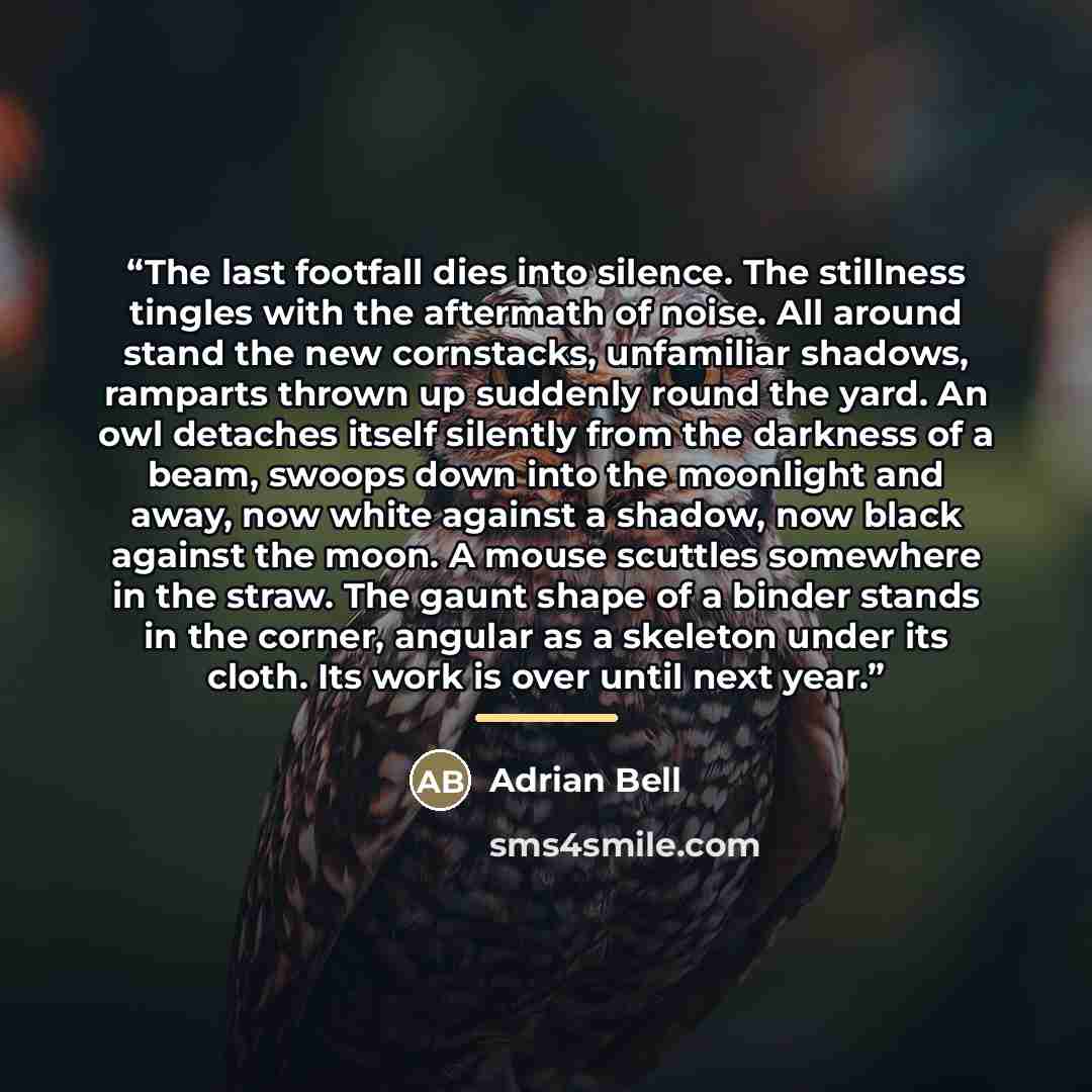 “The last footfall dies into silence. The stillness tingles with the aftermath of noise. All around stand the new cornstacks, unfamiliar shadows, ramparts thrown up suddenly round the yard. An owl detaches itself silently from the darkness of a beam, swoops down into the moonlight and away, now…” quote by Adrian Bell