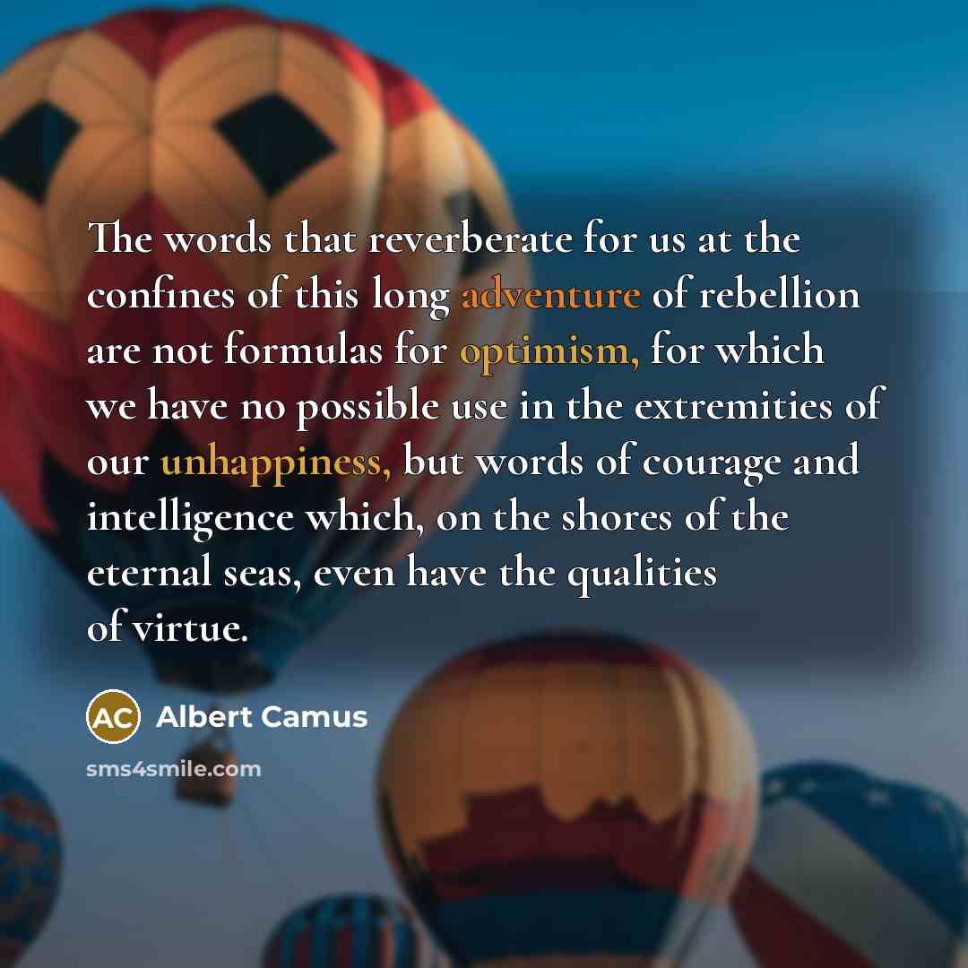 “The words that reverberate for us at the confines of this long adventure of rebellion are not formulas for optimism, for which we have no possible use in the extremities of our unhappiness, but words of courage and intelligence which, on the shores of the eternal seas, even have the qualities of…” quote by Albert Camus