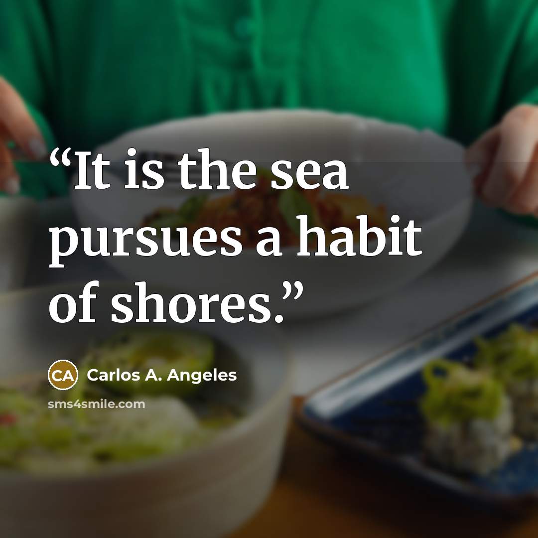 “It is the sea pursues a habit of shores.” quote by Carlos A. Angeles