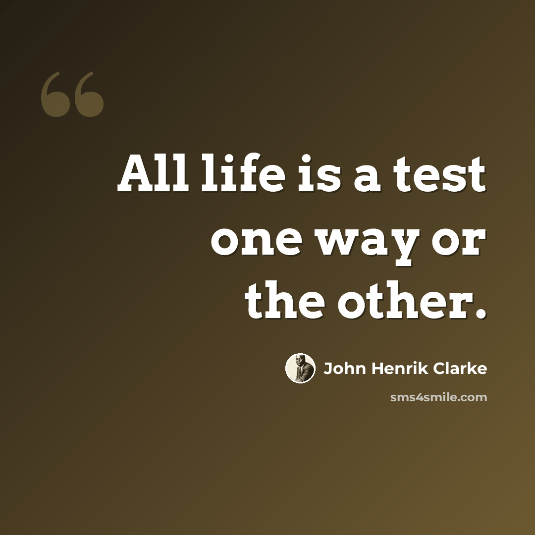“All life is a test one way or the other.” quote by John Henrik Clarke