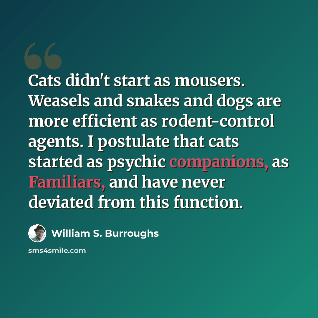 “Cats didn't start as mousers. Weasels and snakes and dogs are more efficient as rodent-control agents. I postulate that cats started as psychic companions, as Familiars, and have never deviated from this function.” quote by William S. Burroughs
