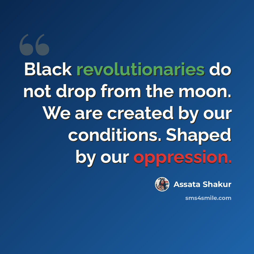 “Black revolutionaries do not drop from the moon. We are created by our conditions. Shaped by our oppression.” quote by Assata Shakur