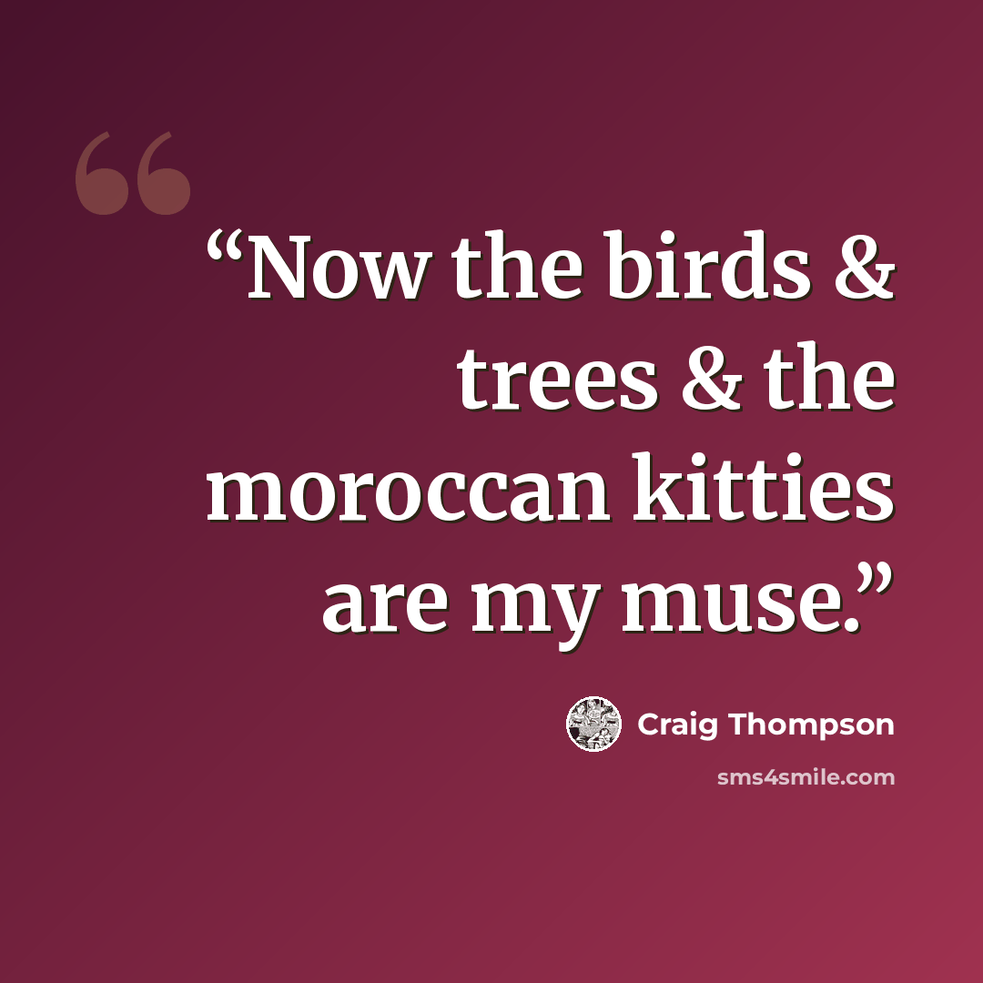 “Now the birds & trees & the moroccan kitties are my muse.” quote by Craig Thompson